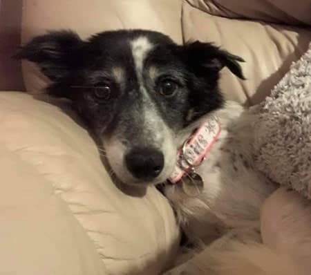 Clarissa — Unknown