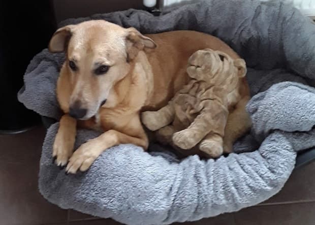 2021 Update — Unknown