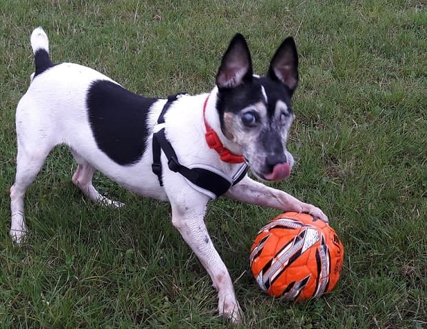 Marlon – midfield maestro! — Unknown