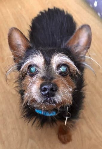 Porridge — Unknown