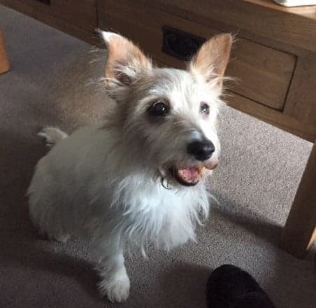 Pretty Penny…and worth every penny too! — Unknown