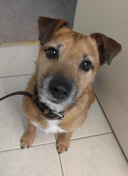 Ball-mad, borderline Bruce! — Unknown