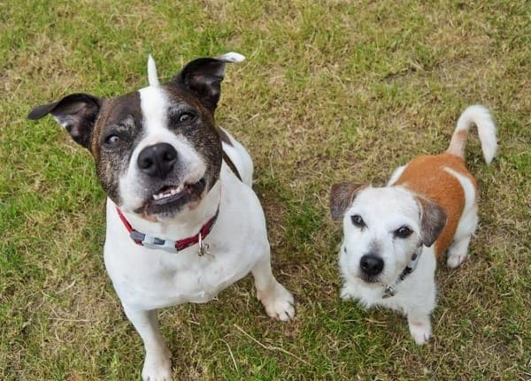 Missy & Jack — Unknown