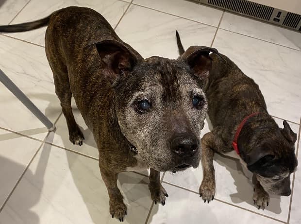 Alfie & Lennon — Unknown