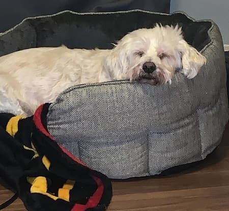 Adorable Archie BF! — Unknown