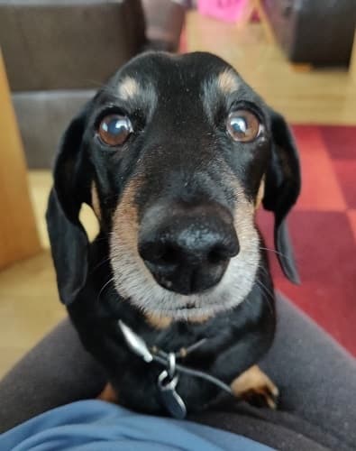 Irresistible, mini Macaroon! — Unknown