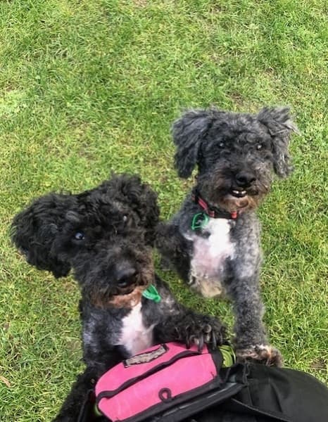 Marley & Bobbie — Unknown