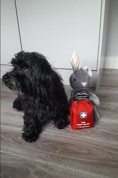 Monty, a well-mannered gentleman! — Unknown