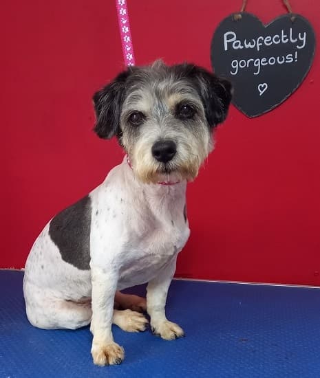 Peggy Pickles — Unknown