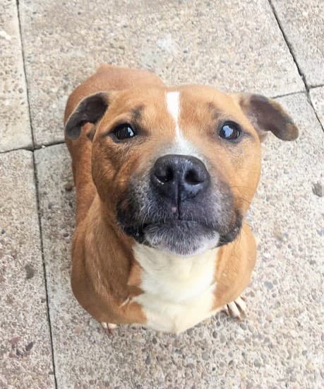 Mercedes — Unknown