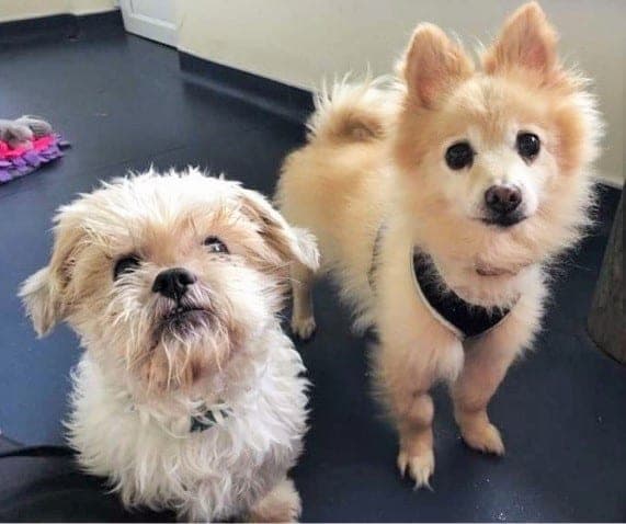 Lola & Sonnie — Unknown