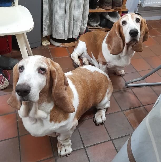 Benji & Winter — Unknown