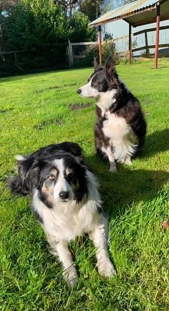 Dana and Abby — Unknown