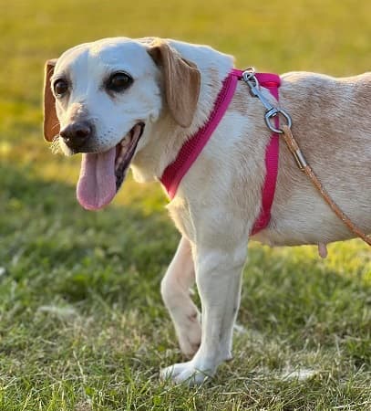 AnaMarie — Unknown