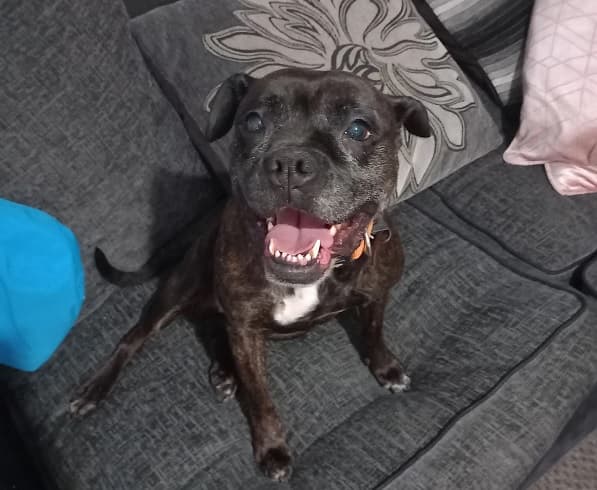 Isabella — Unknown