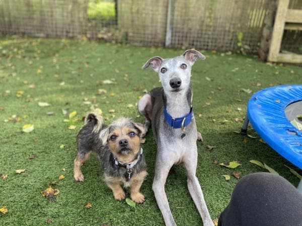 Lightning & Bubba — Unknown