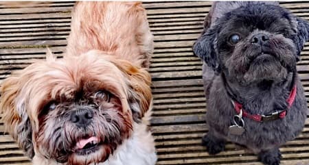 Andre and Kimo — Unknown