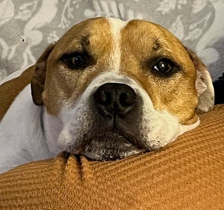 Sweet dreams now, Max — Unknown