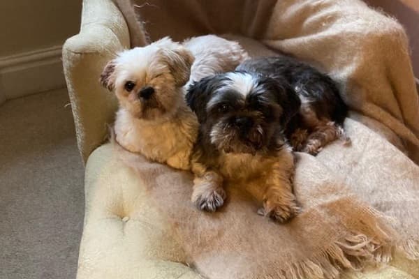 Pixie & Bay — Unknown