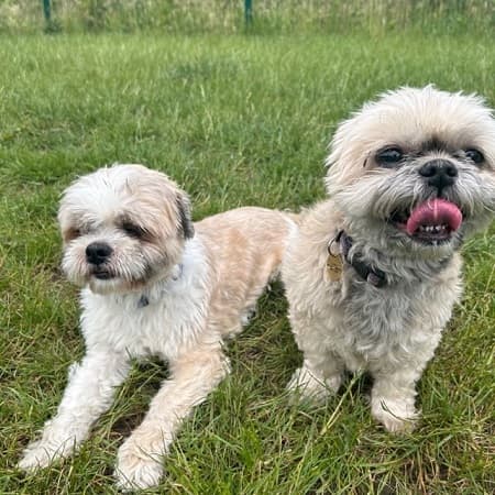 Lily and Milo — Unknown