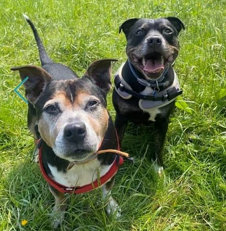 Romeo and Juliet — Unknown