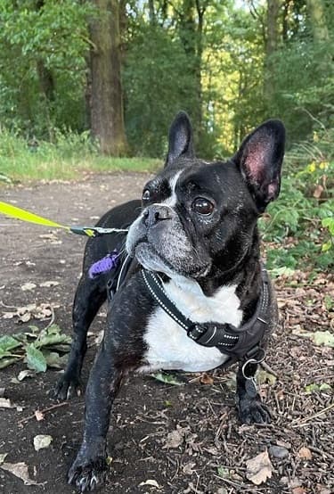 Little Miracle Mabel! — Unknown