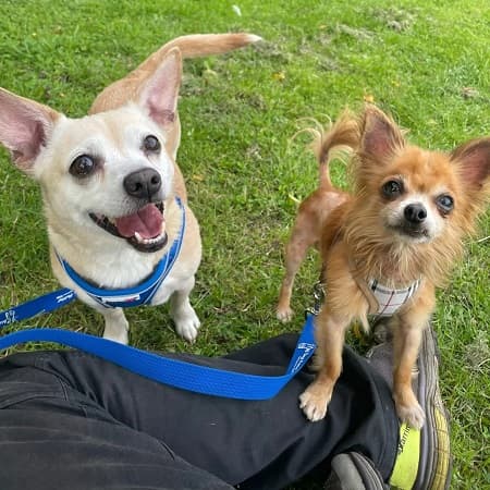 Coco and Frankie — Unknown