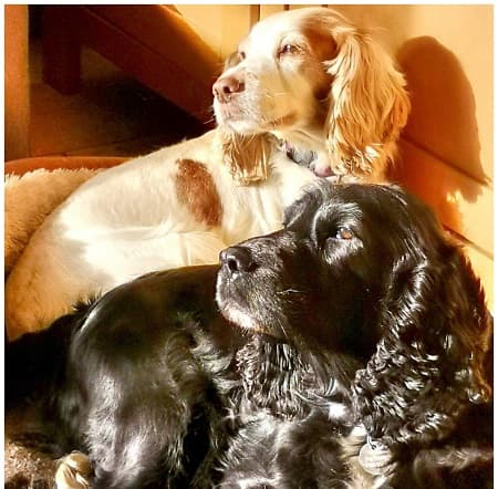 Pluto and Jet — Unknown