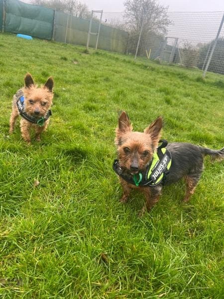 Charlie & Coco — Unknown