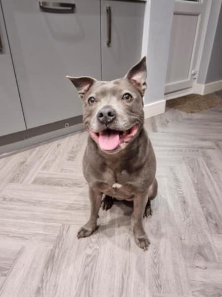 Storm – female — Unknown