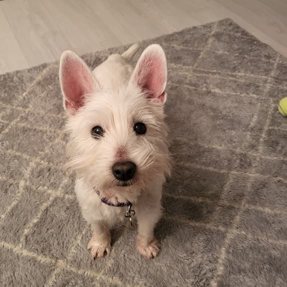 Perfect Ten, Tara! — Unknown