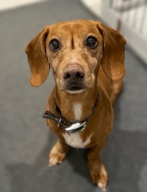 Ready, steady, it’s Tedy! — Unknown