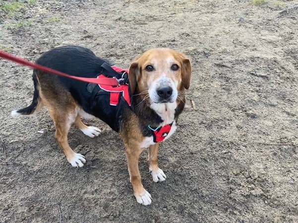 Valentino — Unknown