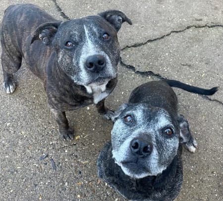 Cagney and Keahn — Unknown