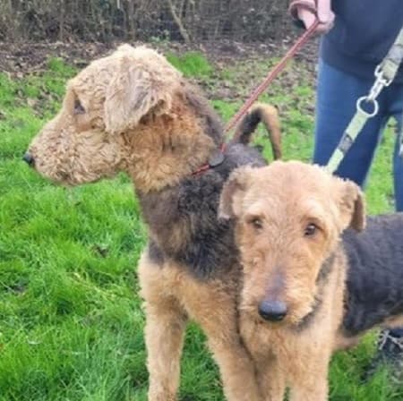 Gordon and Gladys — Unknown