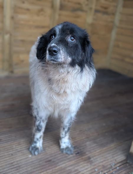 Sebastian — Unknown