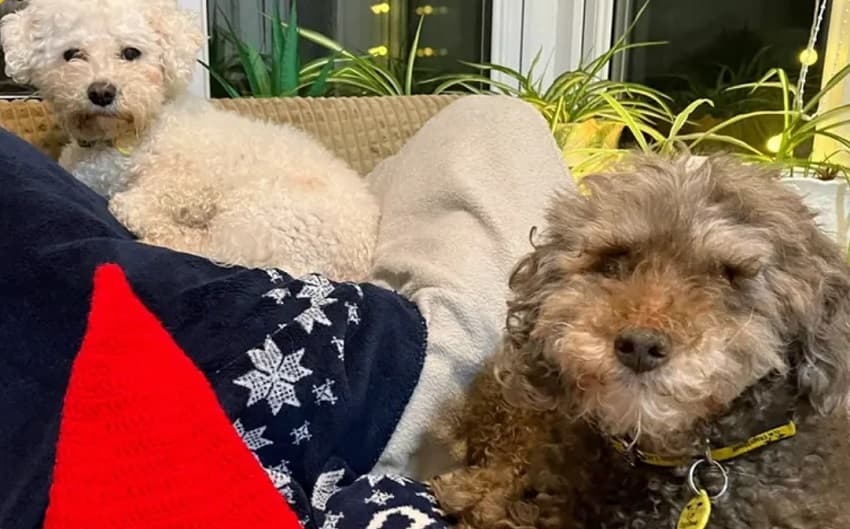 Princess & Noodles — Unknown