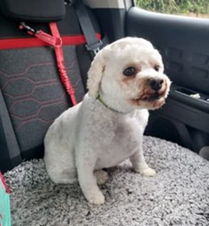 Absolutely adorable Albie — Unknown