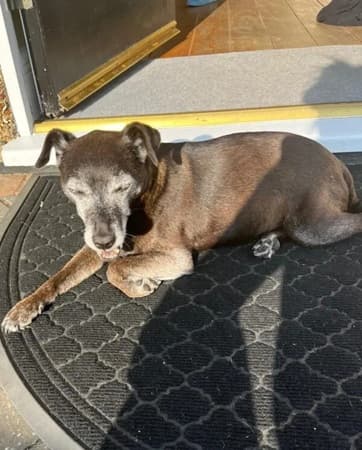 Felicity — Unknown