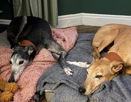 Mouse and Max — Unknown