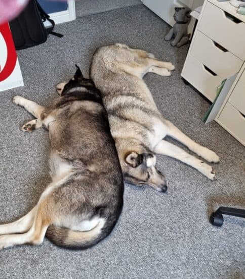 Lottie & Rocky — Unknown