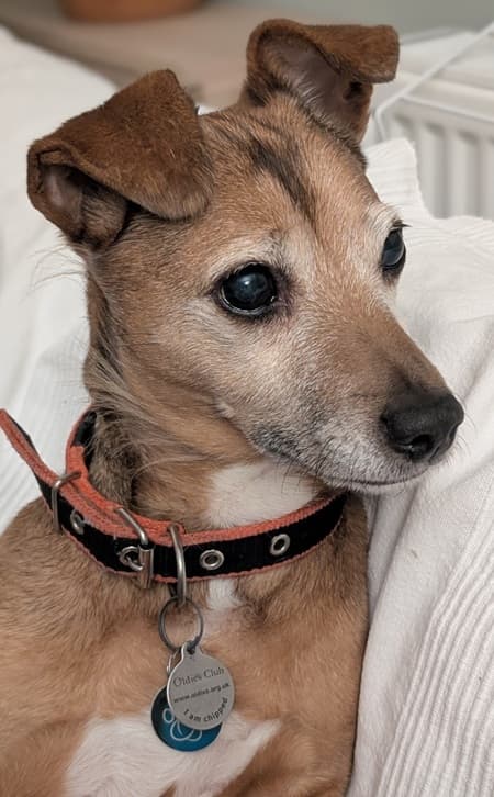 Billy the entertainer! — Unknown