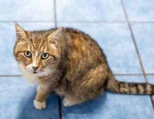 Marley and Gizmo photo 3