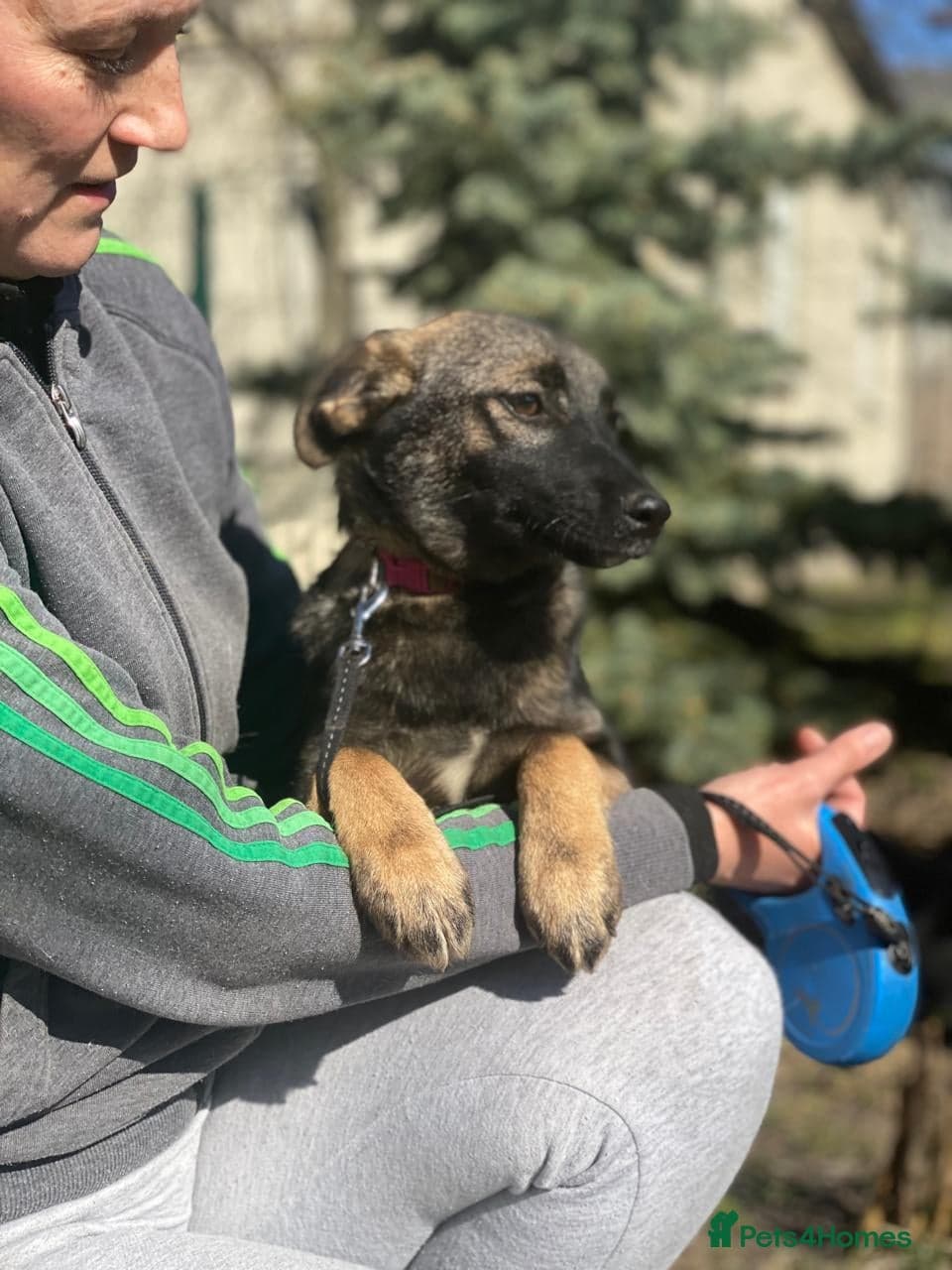 ️🐶 kuba photo 6