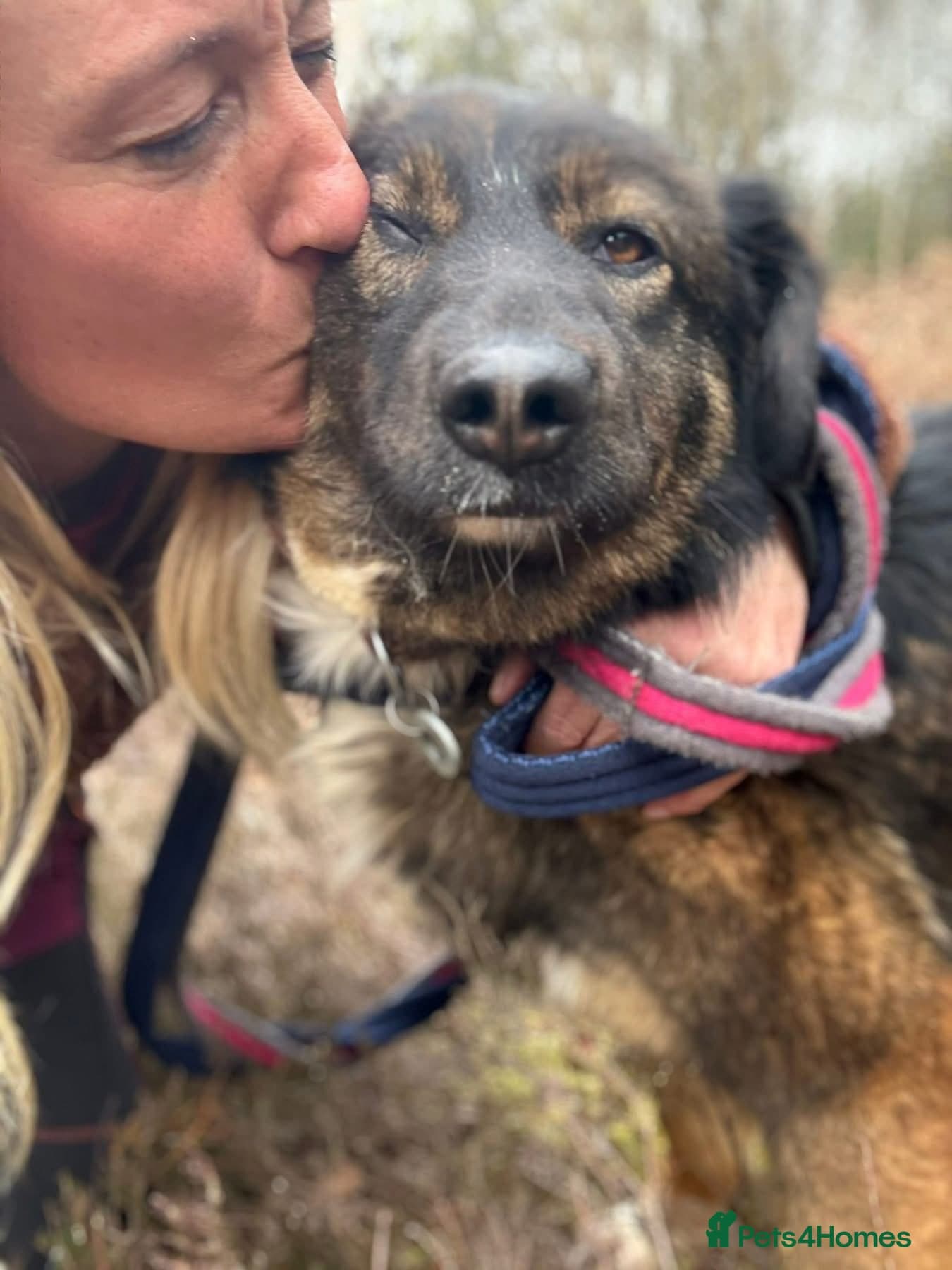 Belle - Norwich Norfolk photo 14