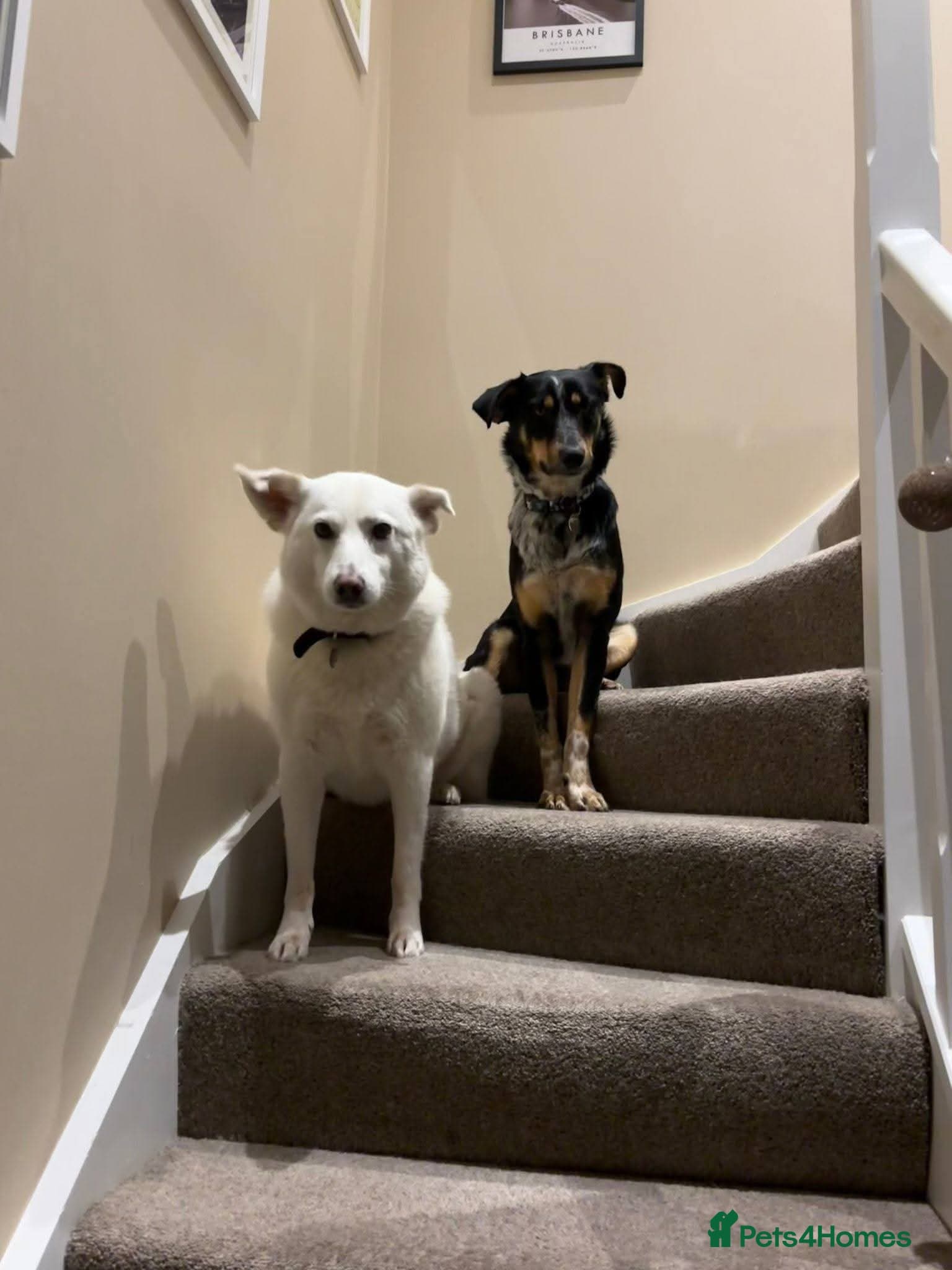 Meet Dave, currently residing in Aberdeen photo 7