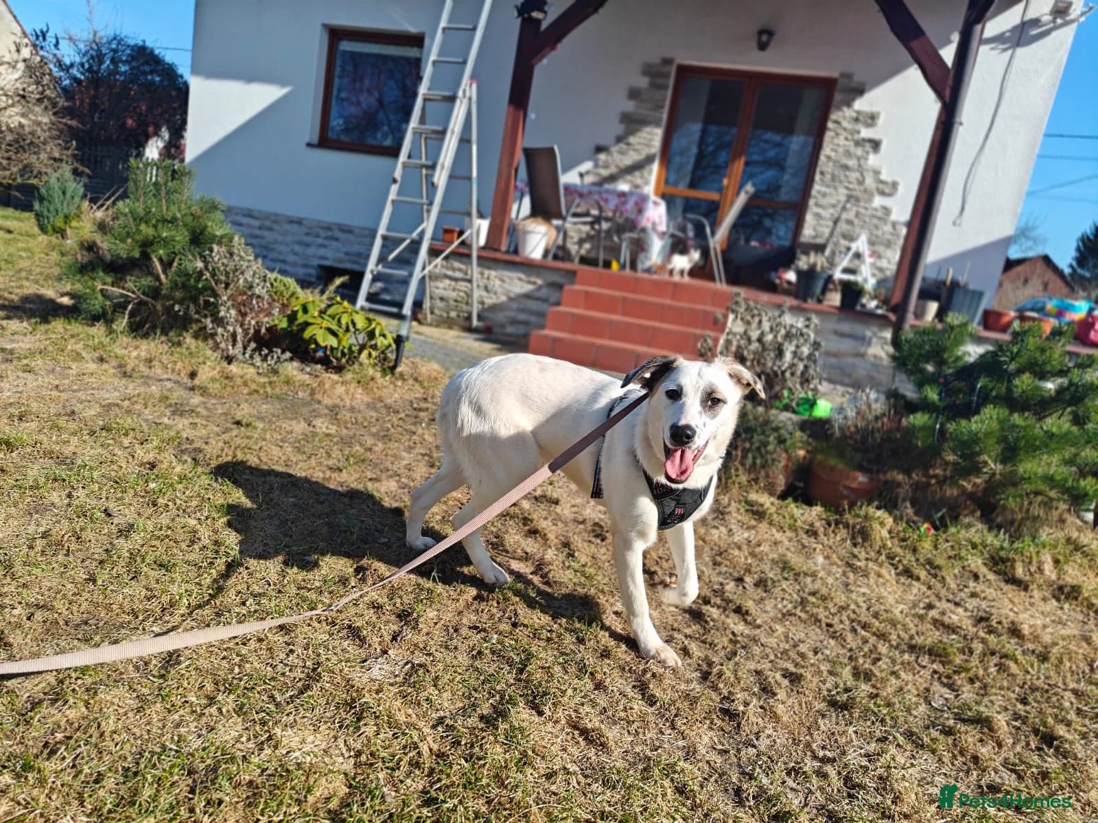 ️PLIAMKA❤️9-month-old loving and playful girl photo 18