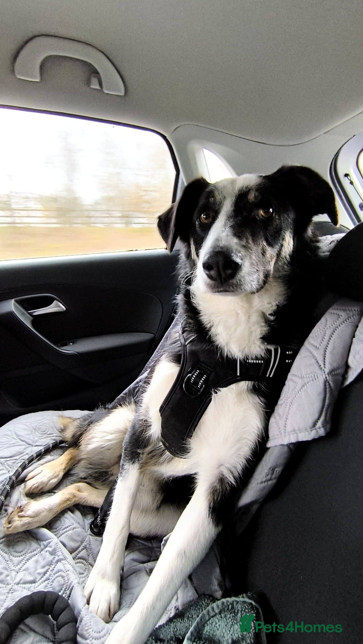 MAX๐ Let Down But Still Loving photo 13