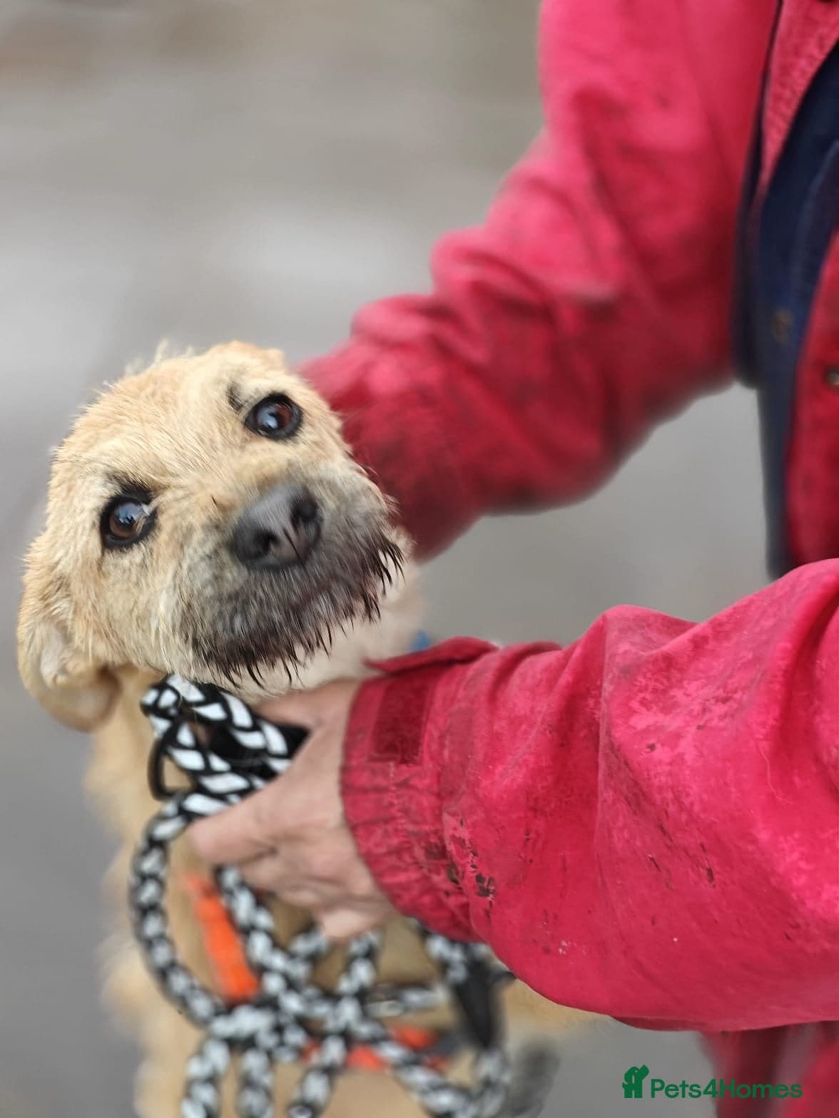 ๏ธ๐ถ bekki photo 4