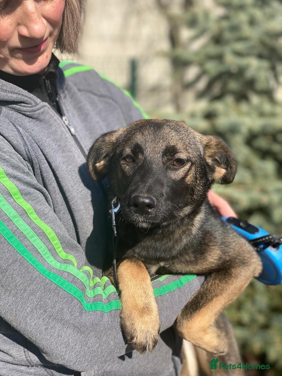 ️🐶 kuba photo 4